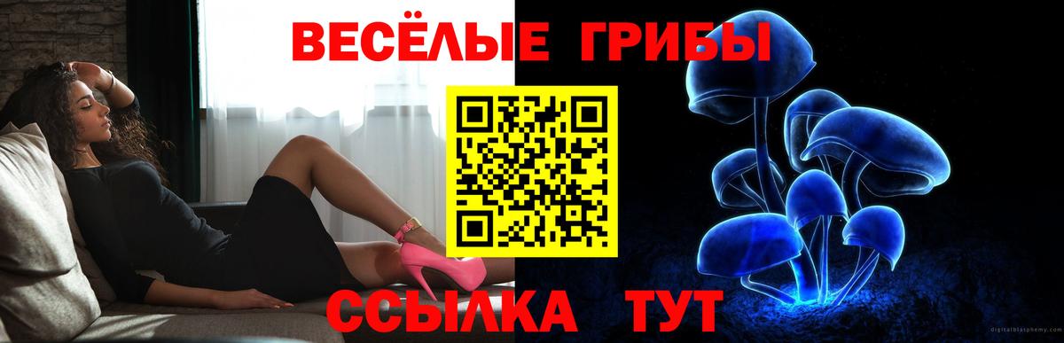 Галлюциногенные грибы мухоморы  Вход с VPN  Брянск 